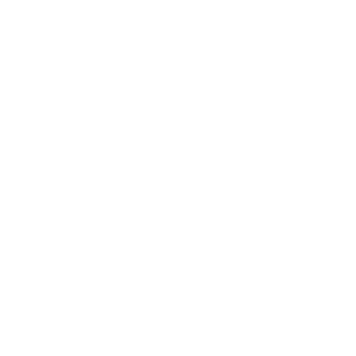 CyberPro